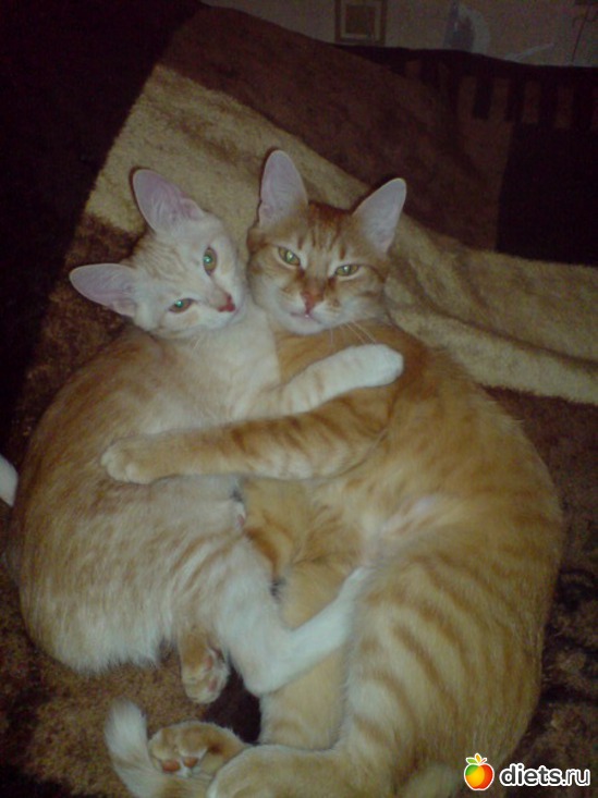 2 ����: ��� ���������