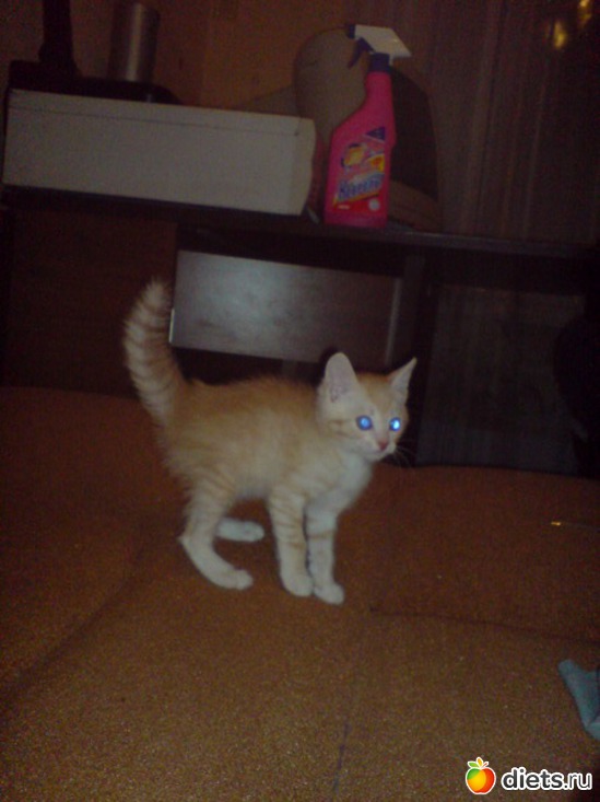 6 ����: ��� ���������