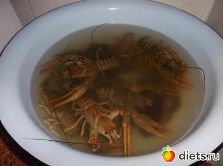 ���� ������ �����������