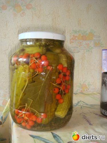 17 ����: ������ 2012