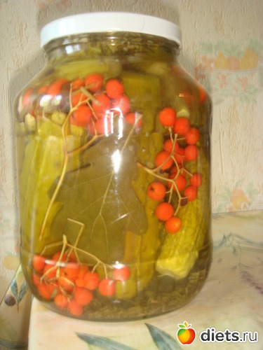 18 ����: ������ 2012