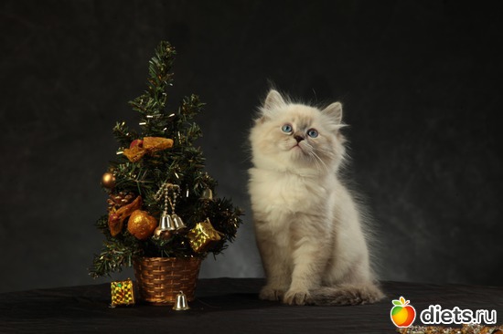 2 ����: ������