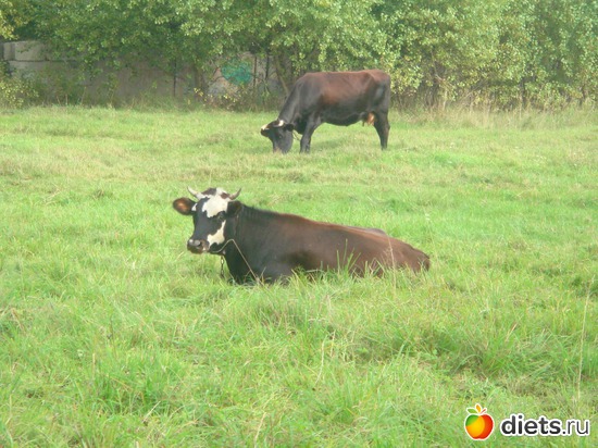 3 ����: ������ �� ����