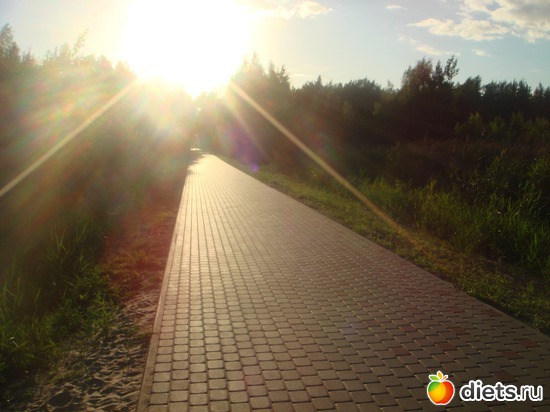 4 ����: ������ �� ����