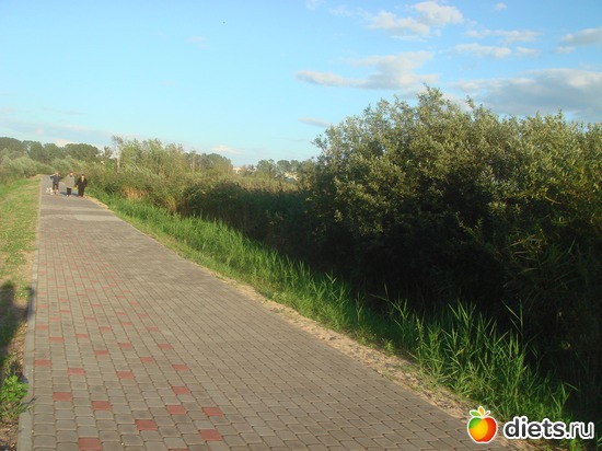 5 ����: ������ �� ����