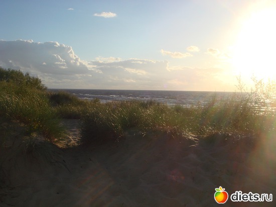 6 ����: ������ �� ����