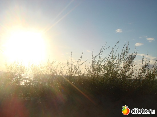 7 ����: ������ �� ����