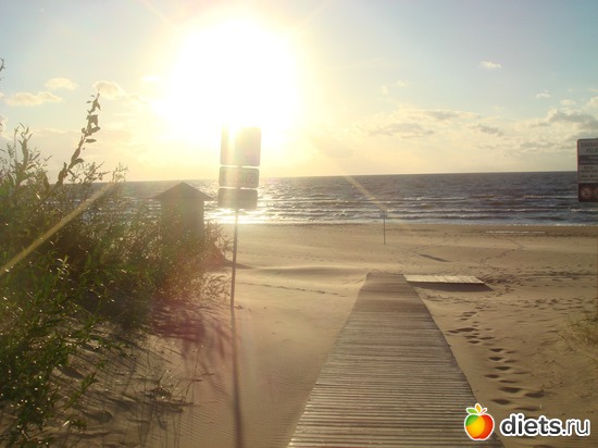 8 ����: ������ �� ����