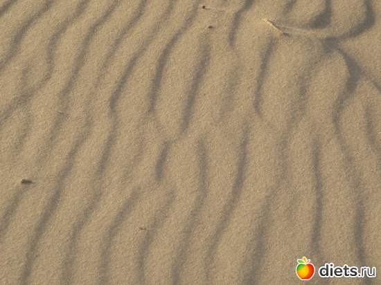 10 ����: ������ �� ����