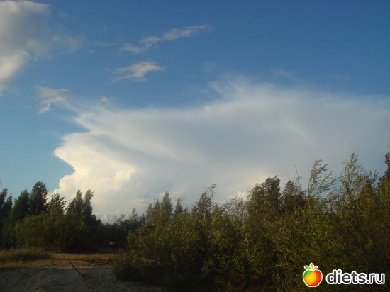 12 ����: ������ �� ����