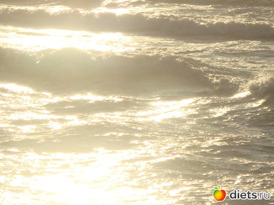 14 ����: ������ �� ����