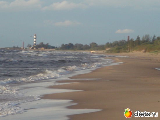 15 ����: ������ �� ����