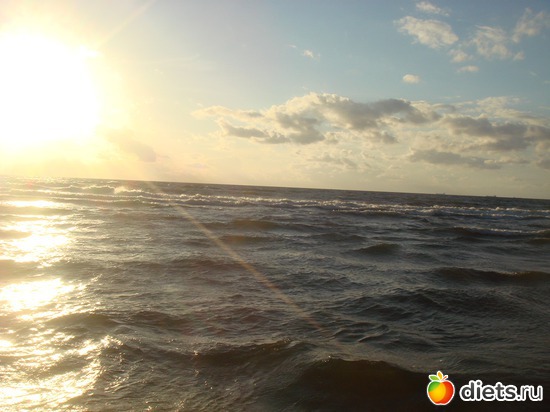 16 ����: ������ �� ����