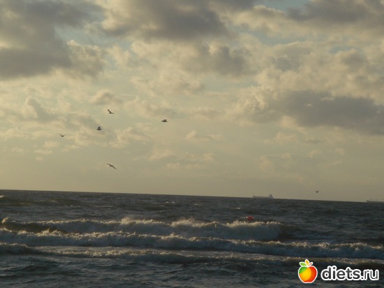 17 ����: ������ �� ����