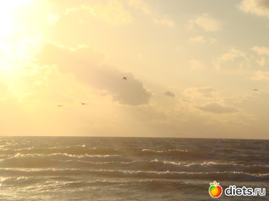 1 ����: ������