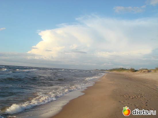 2 ����: ������