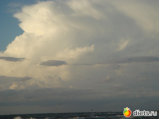 3 ����: ������