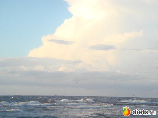 4 ����: ������