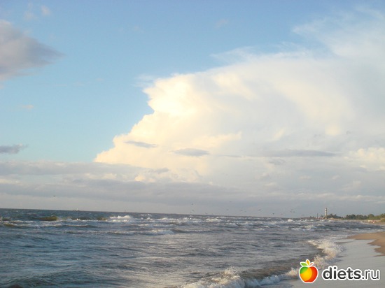 5 ����: ������