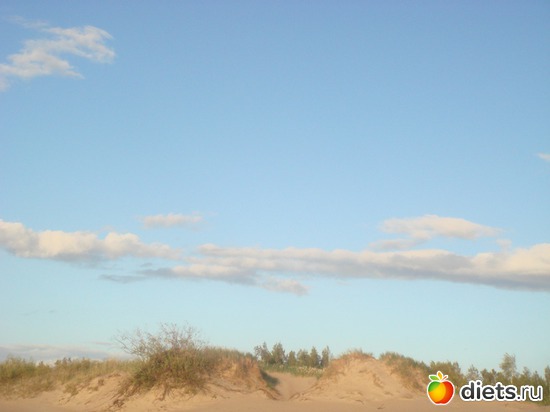 6 ����: ������