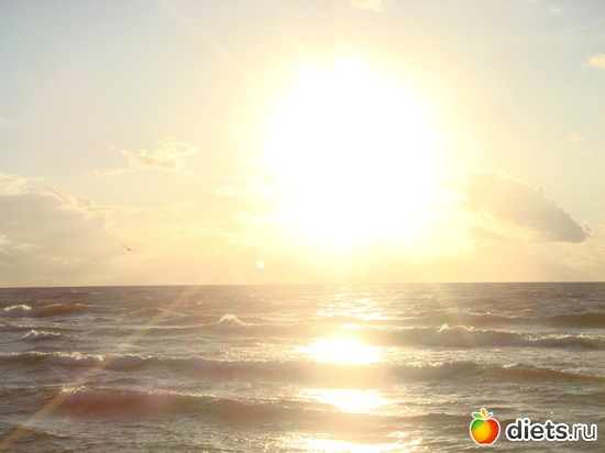 7 ����: ������