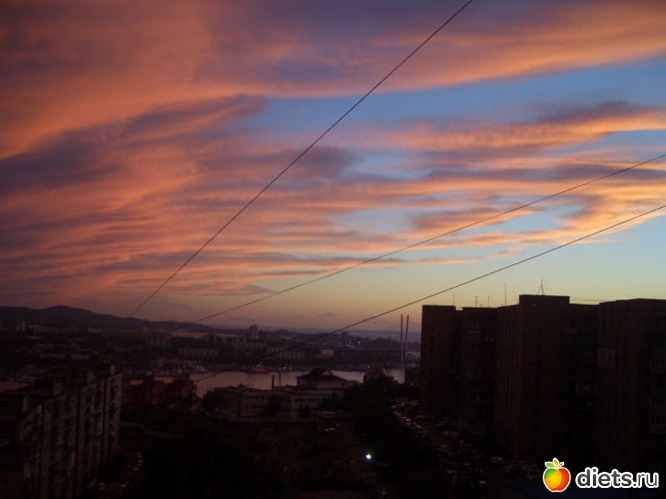 24 ����: ��� �� ����� ����