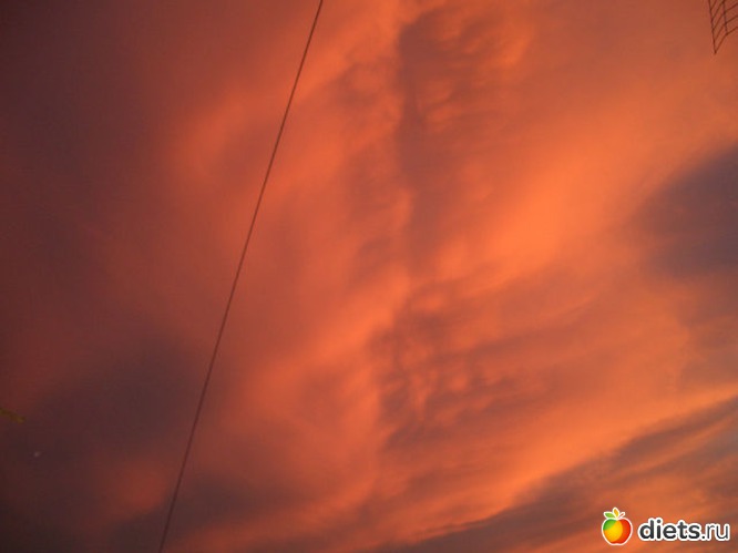 26 ����: ��� �� ����� ����