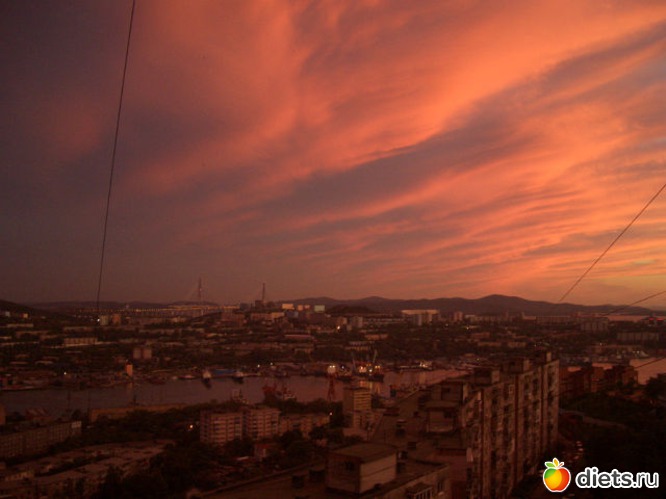 29 ����: ��� �� ����� ����