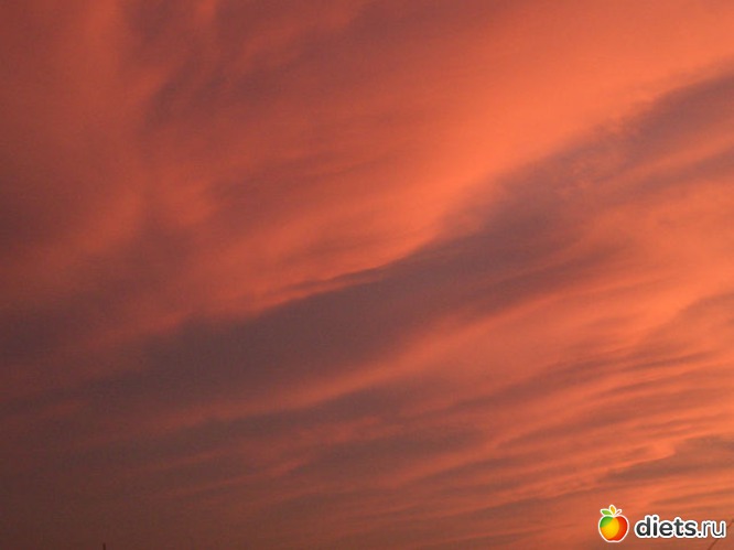 31 ����: ��� �� ����� ����