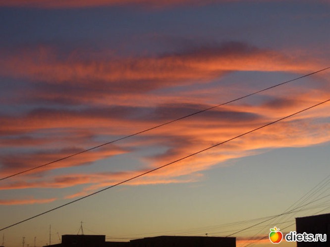 33 ����: ��� �� ����� ����