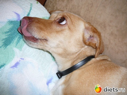 ��� ������ ����