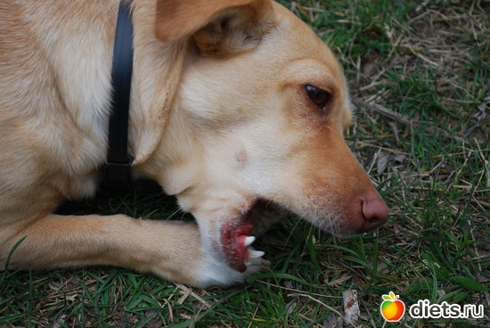 2 ����: ��� ������ ����