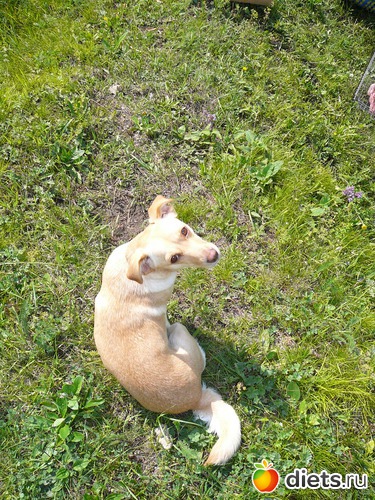 3 ����: ��� ������ ����