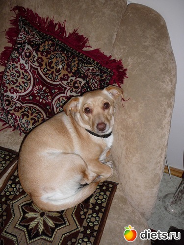 4 ����: ��� ������ ����