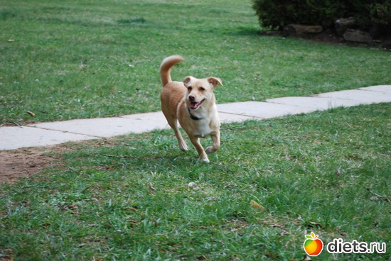 5 ����: ��� ������ ����