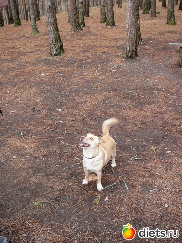 6 ����: ��� ������ ����