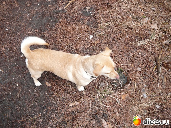 7 ����: ��� ������ ����