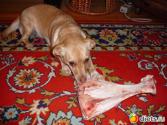 8 ����: ��� ������ ����