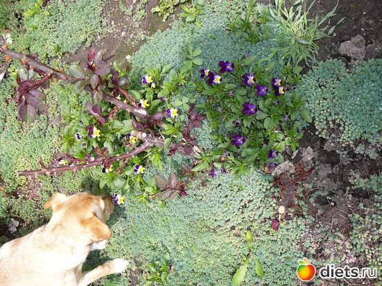 9 ����: ��� ������ ����