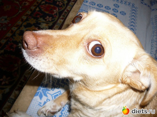 10 ����: ��� ������ ����