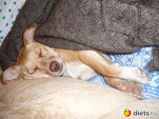 11 ����: ��� ������ ����