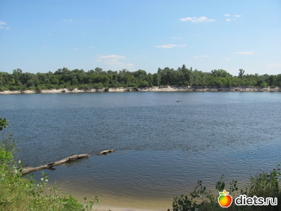 ���� �����, ������: �������