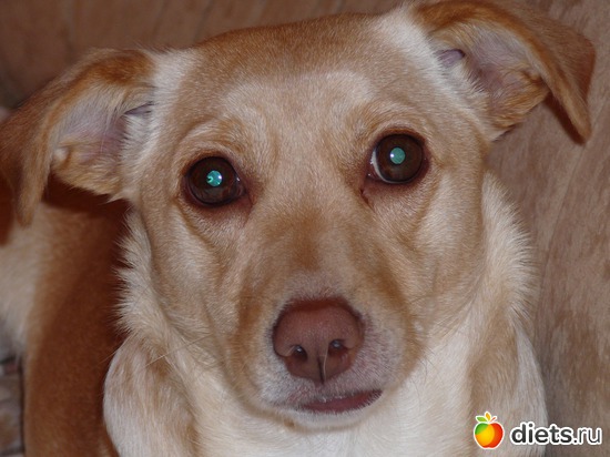 12 ����: ��� ������ ����