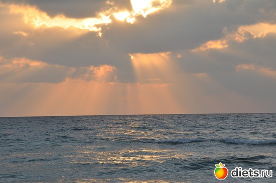 4 ����: ���������