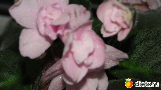 5 ����: ��� ��������