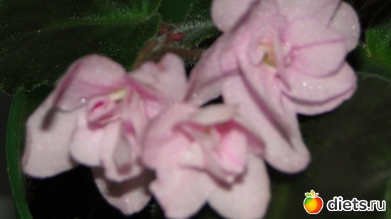 6 ����: ��� ��������