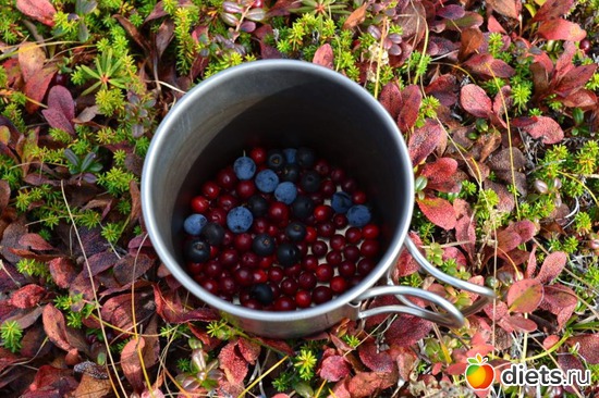 2 ����: �����