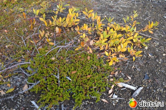 3 ����: �����