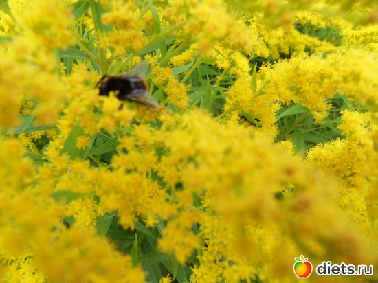 1 ����: �������� �� ����������, ����� ��������� ���� !!