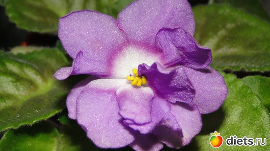 8 ����: ��� ��������